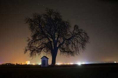 树 夜晚 天堂 星星 星空 自然 教堂 夜空 景观 傍晚的天空