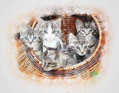 猫 篮子 小猫 艺术 抽象 优质的 水彩 宠物 动物 自然