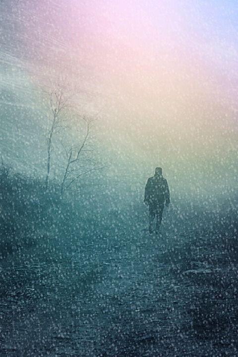 男人 人的 人 多雾路段 降雪 孤独 远足 冬天 神秘