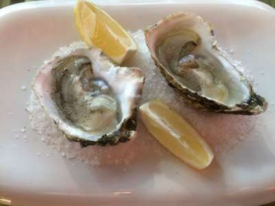 生蚝 盘子 食品 海鲜 餐厅 美食 健康 开胃菜 健康食品