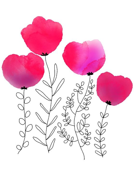 水彩的花朵 水彩花 水彩 绘画 画 丰富多彩的 自然 刷子