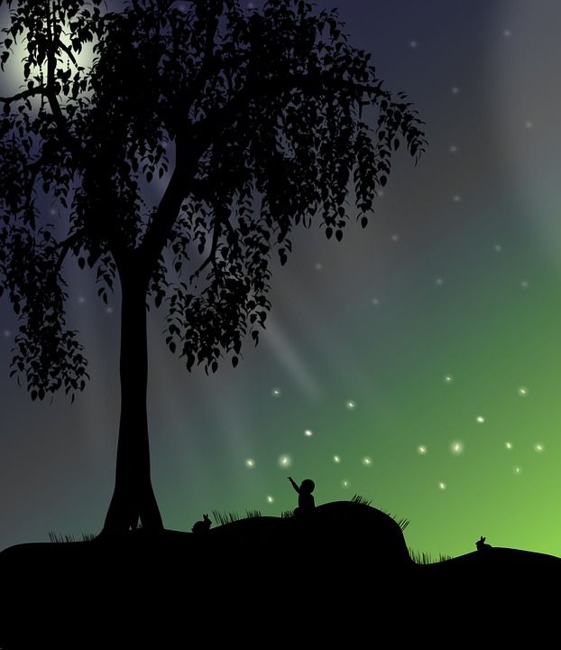 夜晚 树 星空 户外 自然