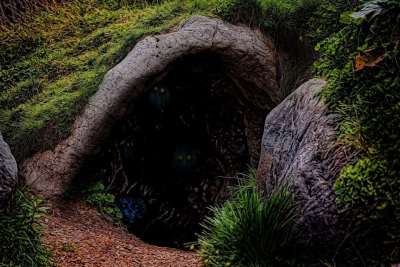 洞穴 怪物 幻想 生物 特点 神话 传奇 故事 童话 寓言