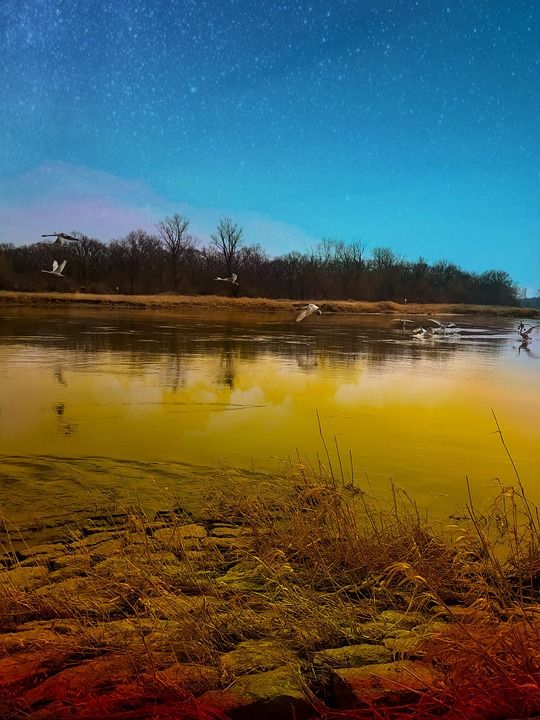 河 夜晚 星空 湖 月夜 自然 景观