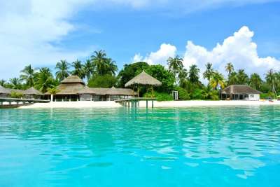马尔代夫 椰子树 海 采取 夏天 假期 天空 海洋 海滩 旅行