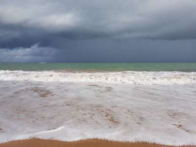 海滩 景观 自然 海 椰子树 巴西 巴伊亚 风暴 愤怒的大海