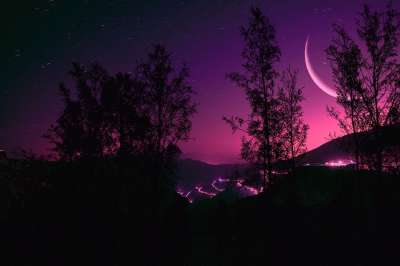 夜晚 树木 山 新月 气氛 大气 户外 星空 引人注目