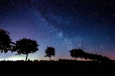 星星 银河系 树木 阴凉处 轮廓 夜空 星空 天堂 傍晚的天空