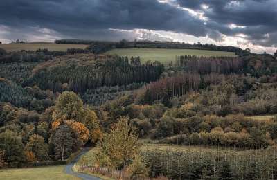 Sauerland 森林 雷雨 景观 山 谷 自然 森林 森林