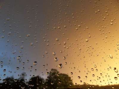 雨 雨后 滴 性质 森林 云 在暴风雨之后 夏天 黑暗