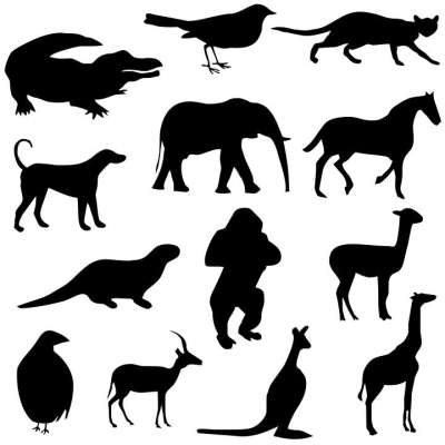 动物 剪影 画画 鳄鱼 鸟 猫 狗 大象 马 獭 大猩猩