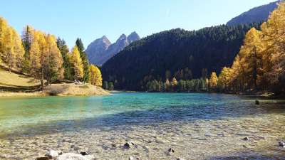 落叶松林 山下湖 反射 山 落叶松 落下 风景 森林 树木 湖