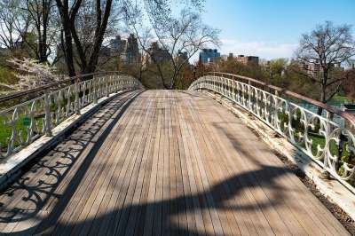 纽约城 中央公园 桥 木头 自然 树 旅行 路