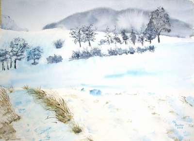 冬天 雪 景观 场地 树木 绘画 图片 艺术 作画 染