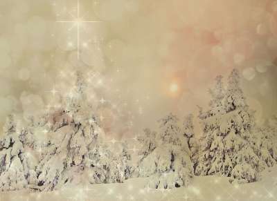圣诞节 冬季景观 雪 冬天 圣诞主题 圣诞问候 情绪 圣诞贺卡