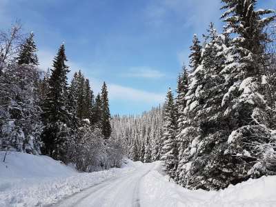冬季 景观 冬天风景 挪威 斯堪的纳维亚 雪景 抢眼 路