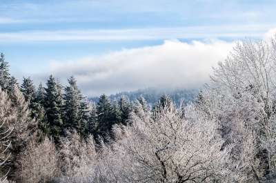冬季景观 冬季 山 弗罗斯特 似雪 冻结 冷 雪 田园 树木