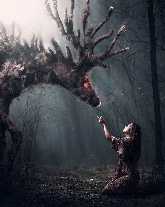 年轻女子 森林 鹿 幻想 故事 照相馆 照片 超现实的 梦幻般的