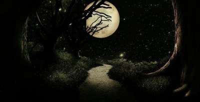 幻想 月亮 树木 星星 夜晚 小路 草 神秘 满月 气氛