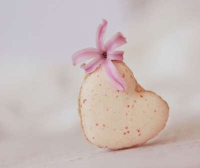 Macaron 心 糕点 心马卡龙 爱 法式糕点 法国蛋白杏仁饼干