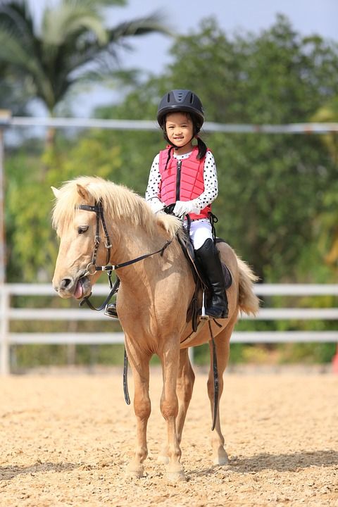 儿童 马术 Pony马