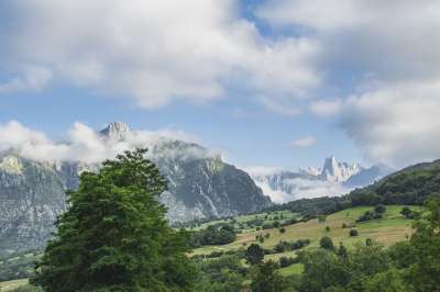 山 云 草地 多雾路段 森林 自然 景观