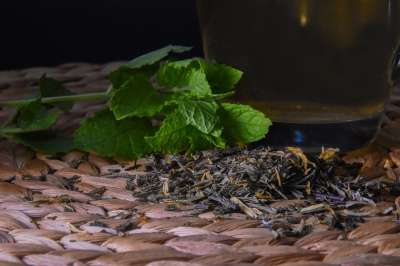 茶 薄荷 草药 杯子 芳香 工厂 树叶 干叶子 茶叶 黄