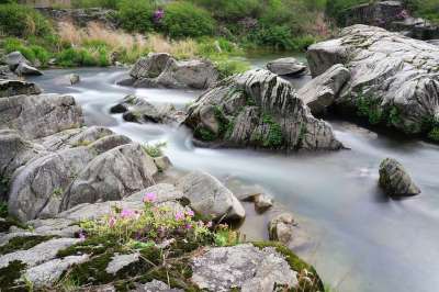 岩石 溪 流动 流动的水 长期接触 河 水 干净的 韩国 自然