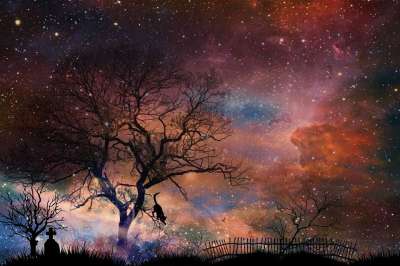 墓碑 墓地 树木 神秘 情绪 景观 猫 动物 宇宙 爬 幻想