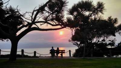 日落 浪漫的 海滩 夫妻 长椅 走 日期 公园 落日的天空