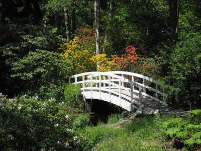 水 桥 池塘 自然 景观 行人天桥 花园 木板路