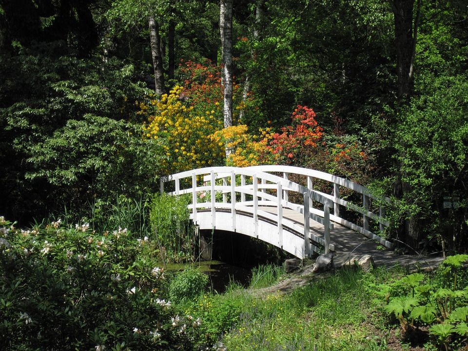 水, 桥, 池塘, 自然, 景观, 行人天桥, 花园, 木板路