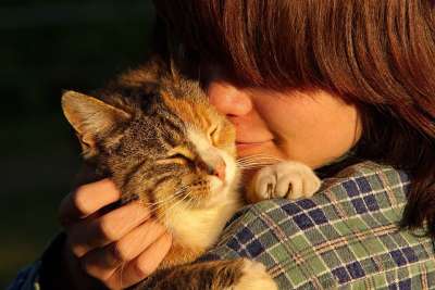吉 人们 脸 人 动物 猫 宠物 棕色的宠物