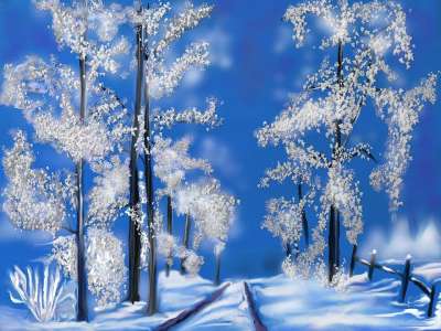 冬天 寒冷的 下雪的 冬季魔法 冬梦 冬季的心情 冬季森林