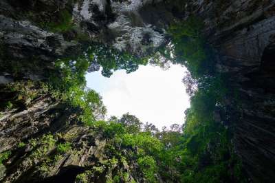 洞穴 自然 树 亚洲 马来西亚 天空 荒野 格子 旅行 看法