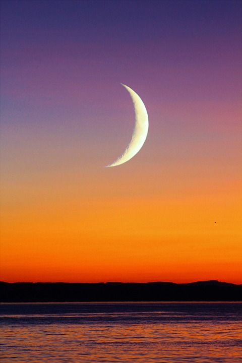 日落 月亮 海滩 景观 天空 自然 晚上 水 黄昏 夜晚