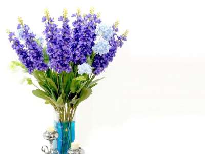 花 植物群 紫色的 花束 紫色 绿色 蓝色的 蜡烛 花瓶