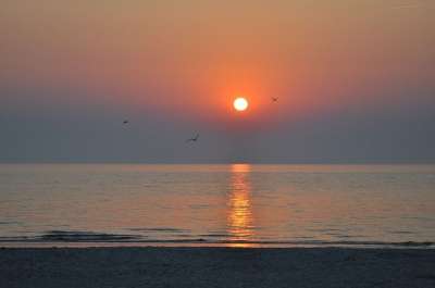 海 湖 日落 海滩 水 太阳和大海 波罗的海 晚上的气氛 夏天