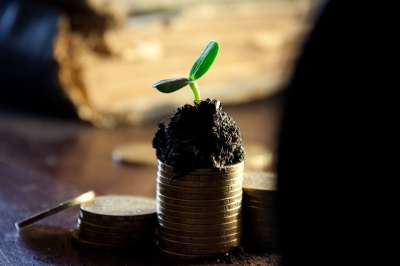 高清壁纸 钱 银行 订金 生长 收入 股息 硬币 金子