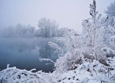 冬天 水 树木 雪 植被 霜 多雾路段 背景 蓝色背景
