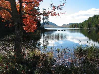 缅因州 老鹰湖 水 反思 森林 树木 山 落下 秋天 景观