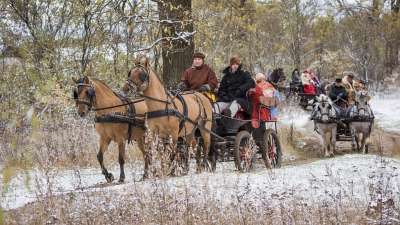 俄罗斯 运输 文化 森林 骑 冬天 雪 寒冷的 人们 传统
