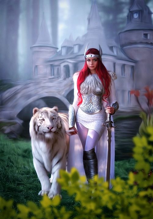 城堡 女士 老虎 白色的老虎 战士 女王 剑 幻想 超现实的