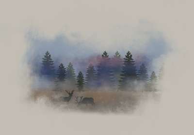 树木 性质 狍子 景观 绘图 背景 幻想 绘画 设计 野生