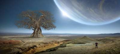 幻想 树 行星 景观 情绪 神秘 巨树 天堂 粗糙的 干燥