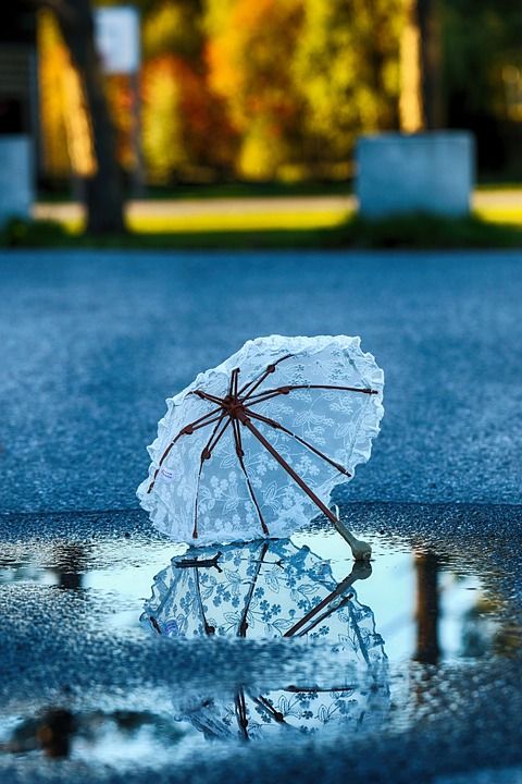 秋天 落下 丰富多彩的 雨伞 水坑 蓝色雨伞