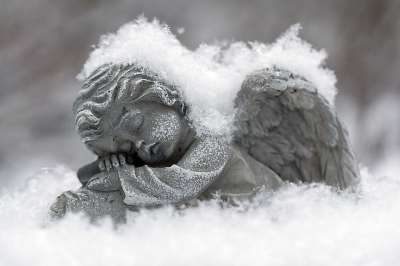 雪 冬天 霜 冷冻的 天使 雕像 寒冷的