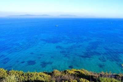 海 海洋 海岸 水 蓝色的大海 蓝色的海洋 海岸线 风景 农村