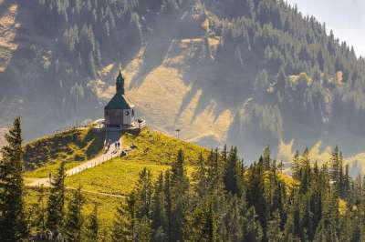 Wallberg 德国 山 景观 教堂 森林 树木 自然 德国