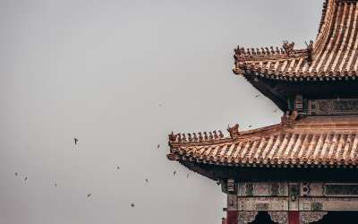 王国 宫 鸟类 城堡 结构 皇家 塔 地标 中国 紫禁城